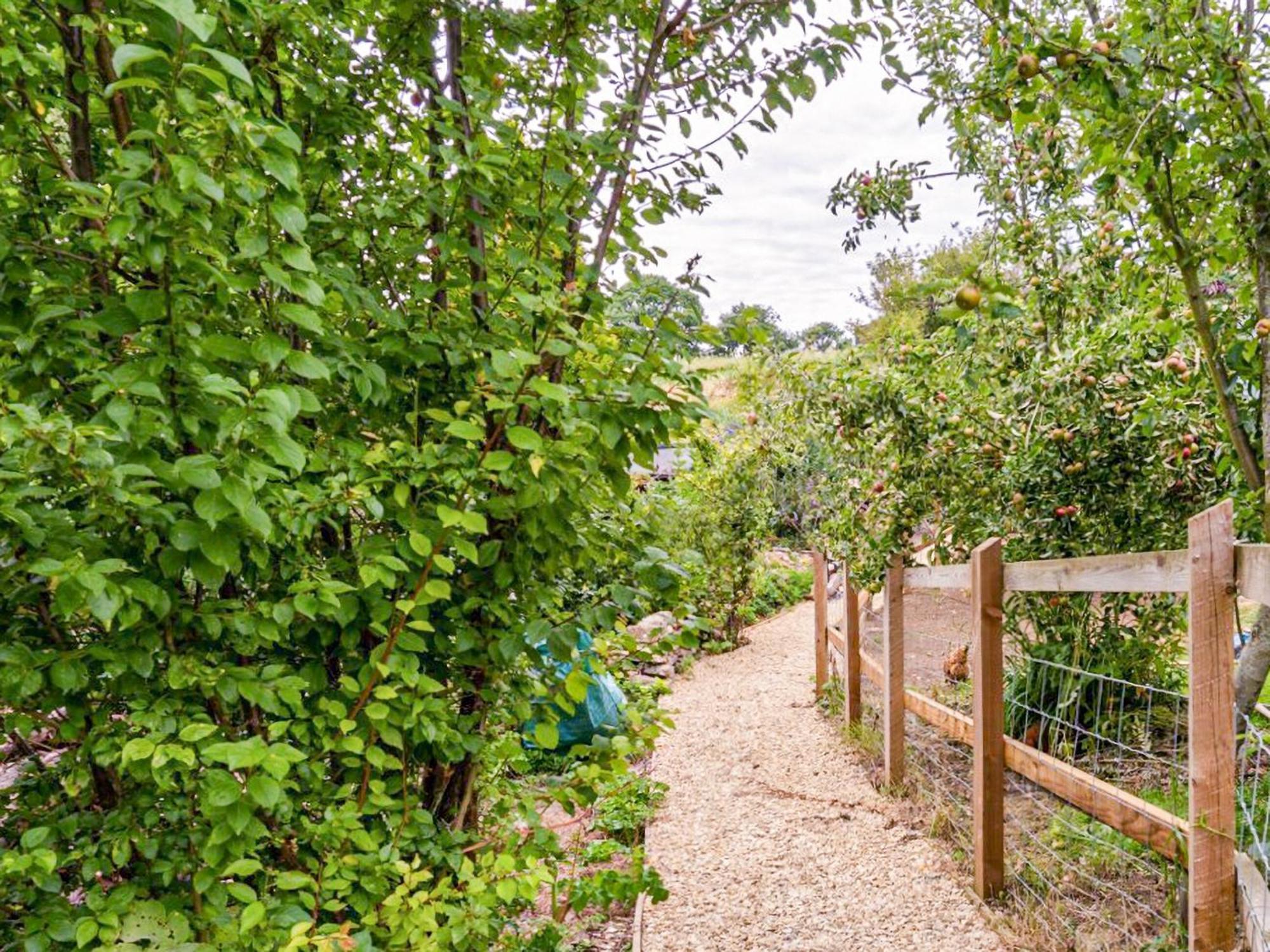 Fig Tree Shepherds Hut Bridport Exteriör bild