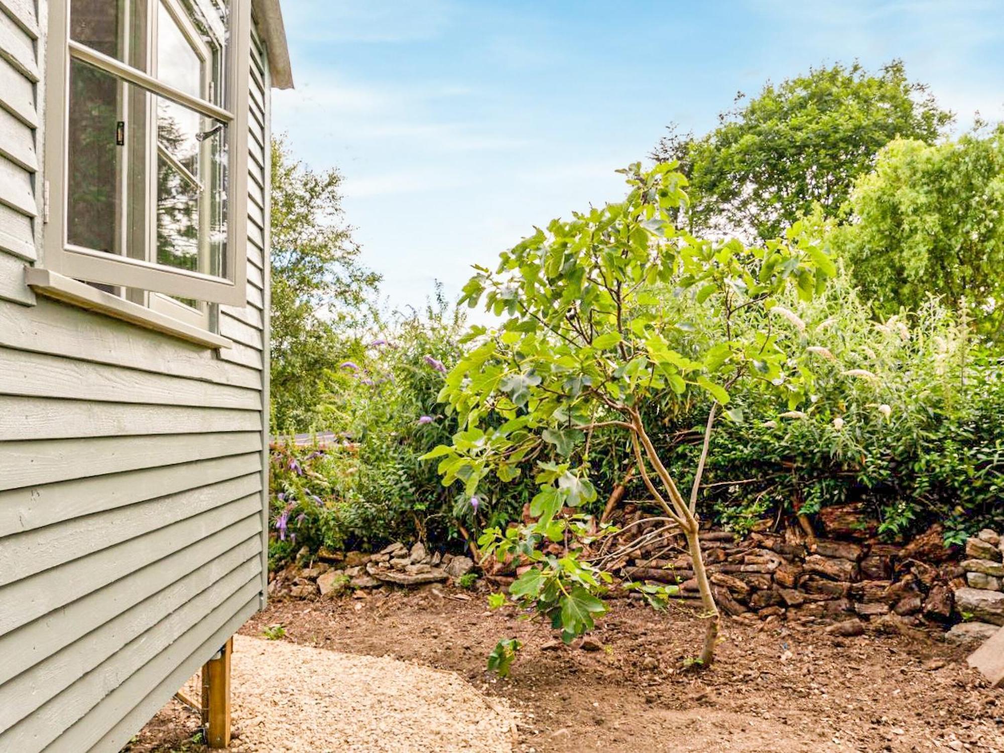 Fig Tree Shepherds Hut Bridport Exteriör bild